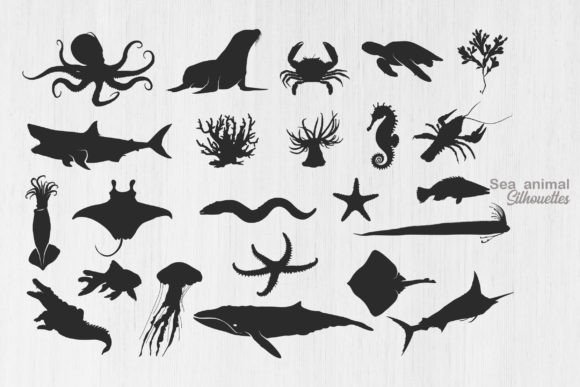 Download Sea Animal Silhouette, Ocean Animal SVG - Ocean animal Collection