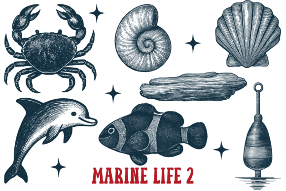 Download Marine Life 2 Vintage Ocean Animals Sea - Ocean animal Collection